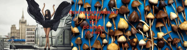 mix Мегион
